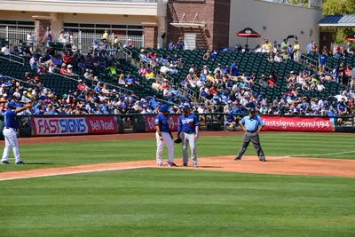 DSC_1774 (Large).JPG